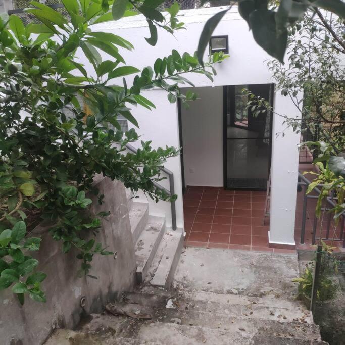 Kk Jungle Hideaway Lovely Apartment 5 Mins Walk To Town Kota Kinabalu Eksteriør bilde