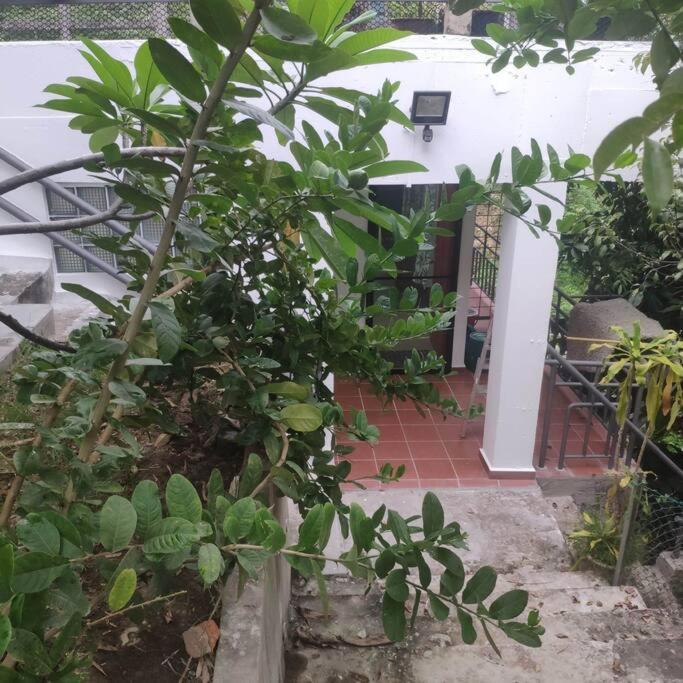 Kk Jungle Hideaway Lovely Apartment 5 Mins Walk To Town Kota Kinabalu Eksteriør bilde